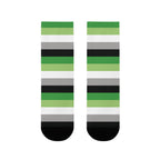 Aromantic Flag Socks