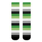 Aromantic Flag Socks